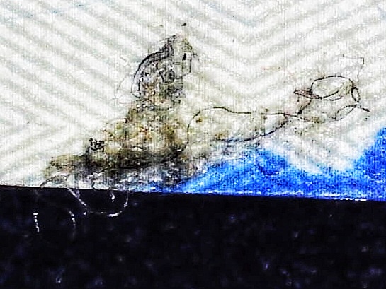 Brinks-Stamp-And-3-Different-Ink-Spots.
